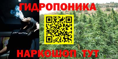 2c-b Краснодар