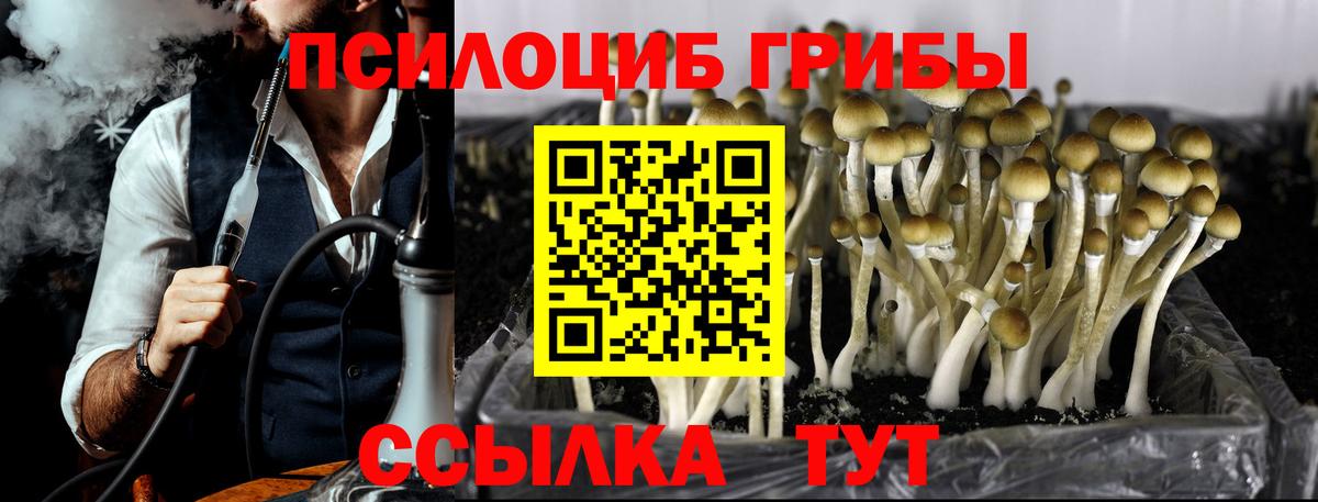 Галлюциногенные грибы Psilocybine cubensis  Вход с VPN  Комсомольск-на-Амуре 